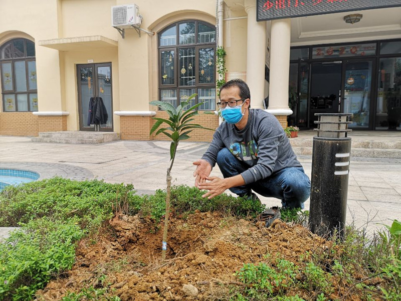 /QJ_409363702653.jpg 種好的樹木生機盎然_副本.jpg